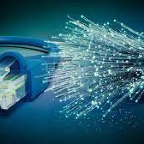 fibre