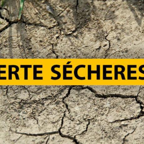 ALERTE SECHERESSE