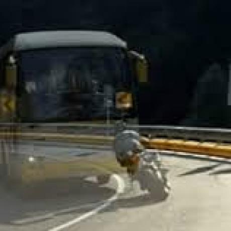 TRAJECTOIRES DE SECURITE