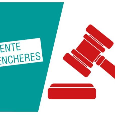 Vente aux enchères publiques
