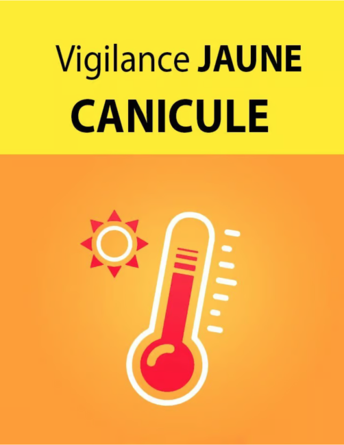 CANICULE