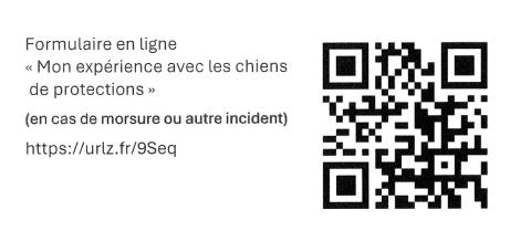 mon expérience avec les chiens de troupeau